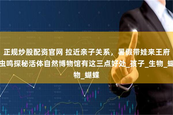 正规炒股配资官网 拉近亲子关系，暑假带娃来王府井虫鸣探秘活体自然博物馆有这三点好处_孩子_生物_蝴蝶